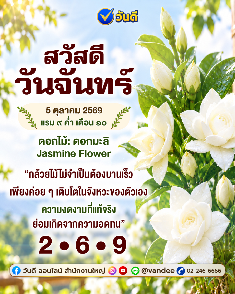 vandee online