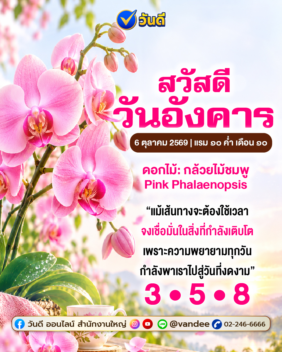vandee online