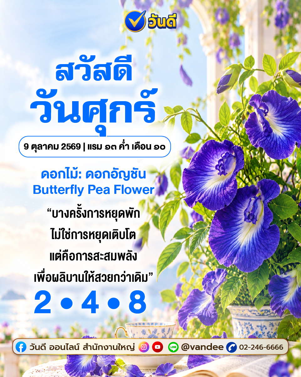 vandee online
