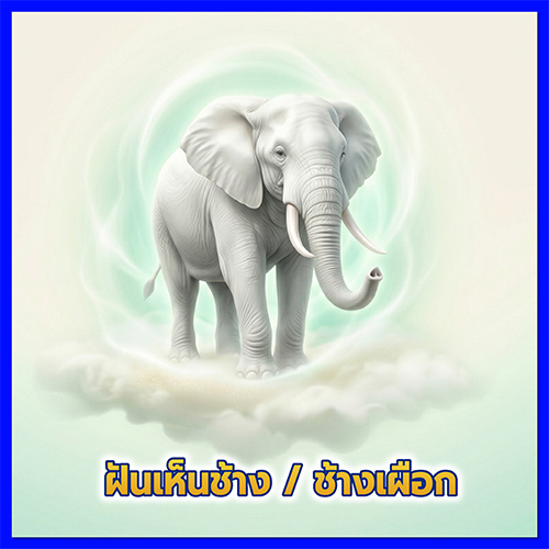 ฝันเห็นช้าง ช้างเผือก หมายถึงอะไร?